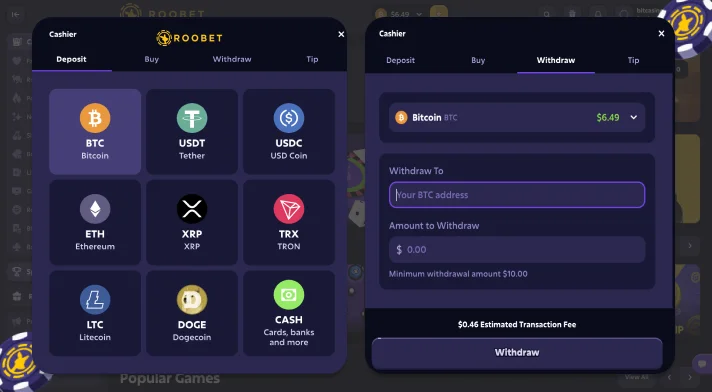 Roobet payments